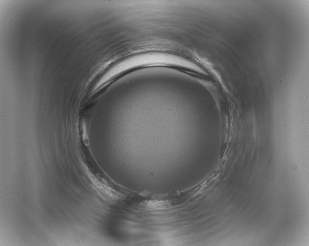 X0000066520154200603171227