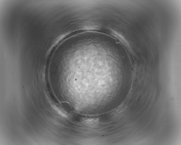 X0000066520155200603171227