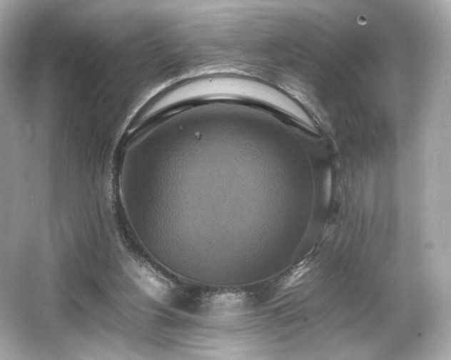 X0000066520156200603171227