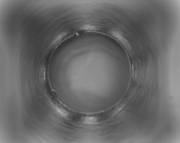 X0000066520157200603171227