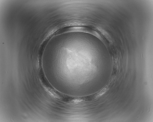 X0000066520158200603171227