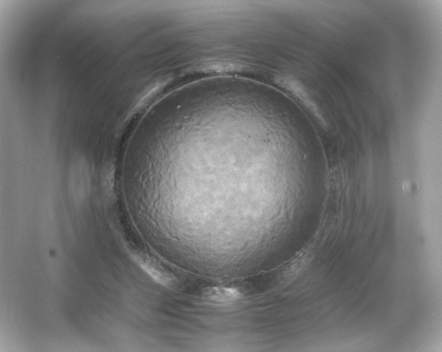 X0000066520159200603171227