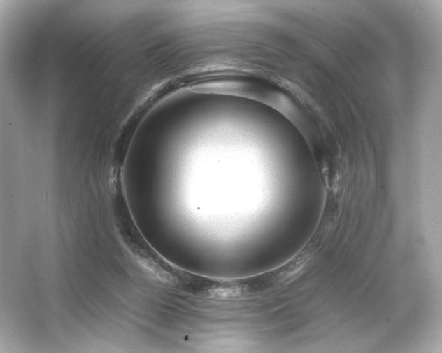 X0000066520160200603171227