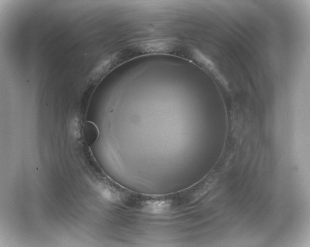 X0000066520161200603171227