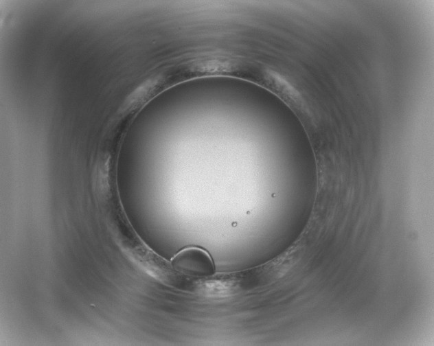 X0000066520163200603171227