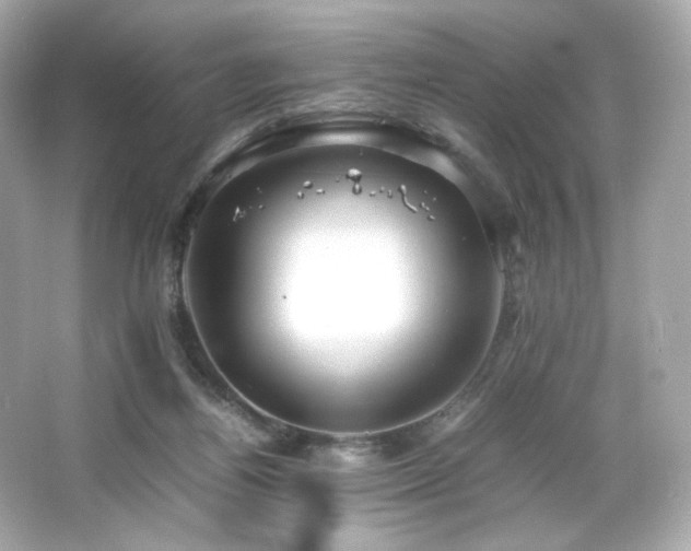 X0000066520164200603171227