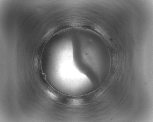 X0000066520165200603171227