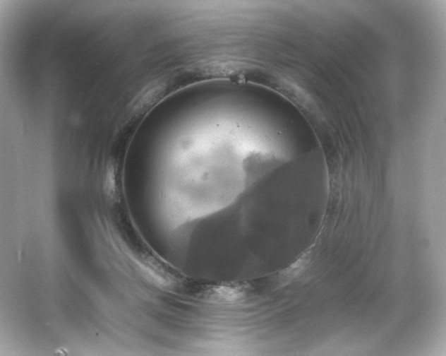 X0000066520166200603171227