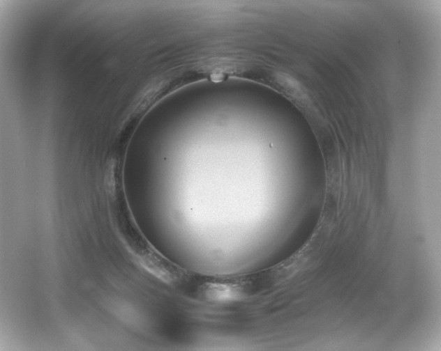 X0000066520167200603171227