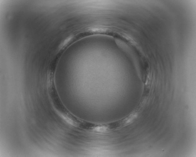 X0000066520168200603171227