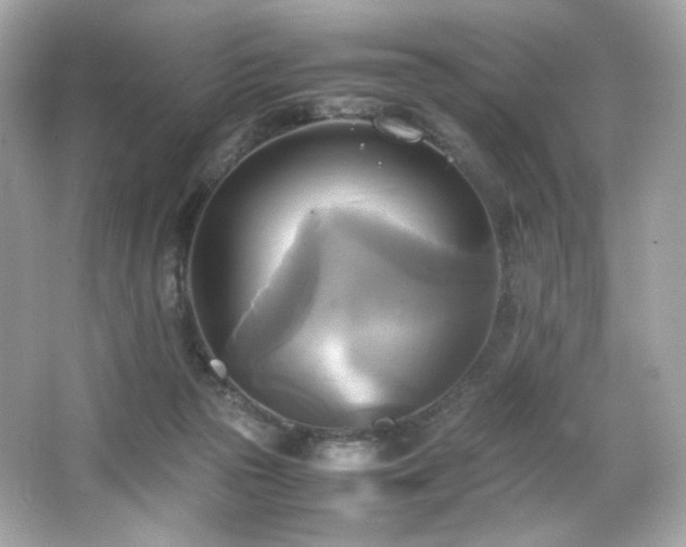 X0000066520169200603171227