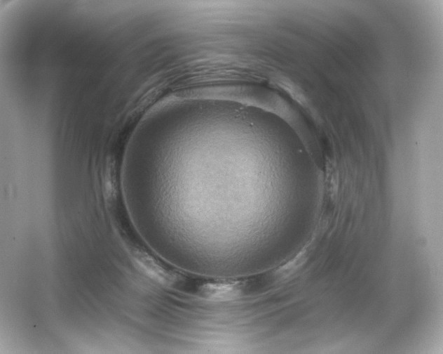 X0000066520170200603171227