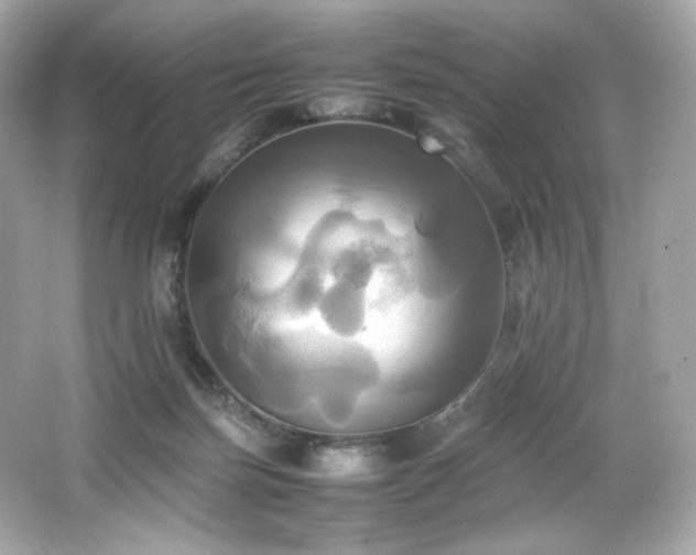 X0000066520171200603171227