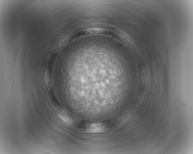 X0000066520173200603171227