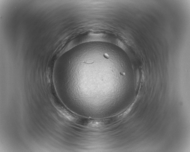 X0000066520174200603171227