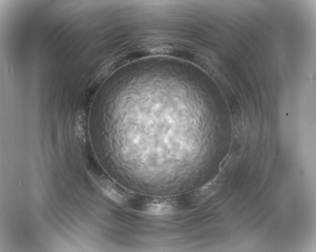 X0000066520175200603171227