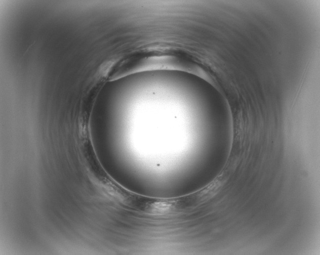 X0000066520176200603171227