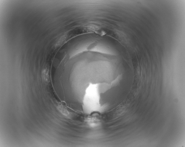 X0000066520177200603171227