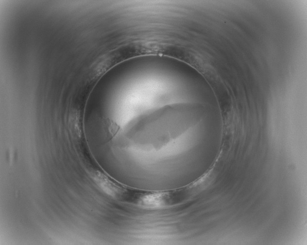 X0000066520178200603171227