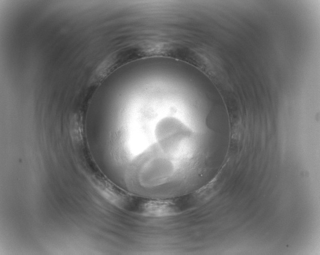 X0000066520179200603171227