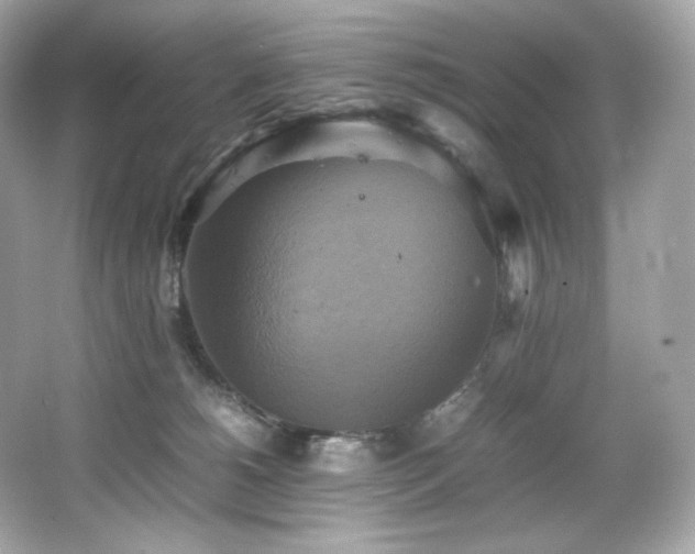 X0000066520180200603171227