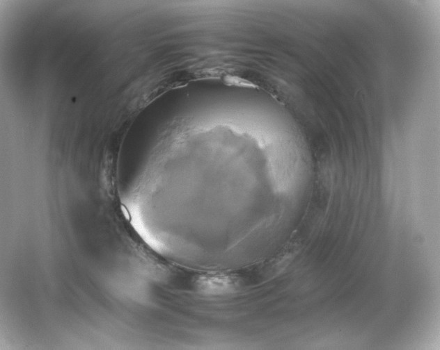 X0000066520181200603171228