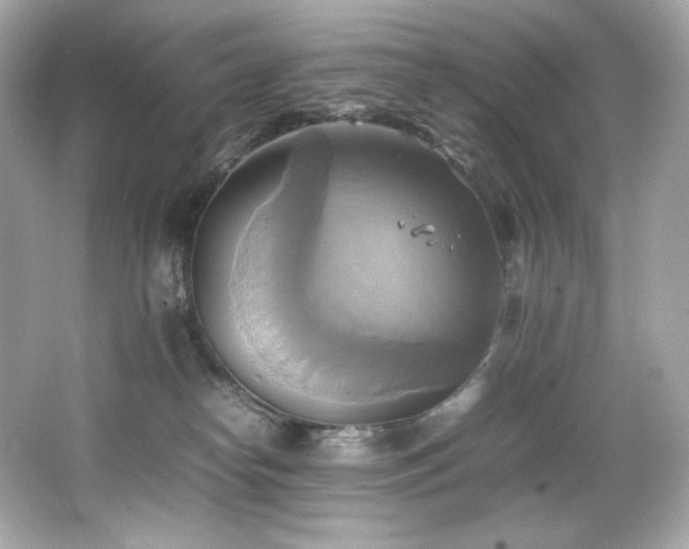 X0000066520182200603171228