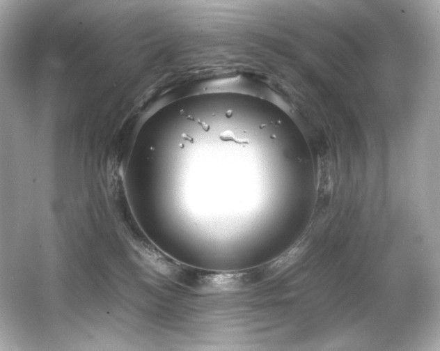 X0000066520184200603171228