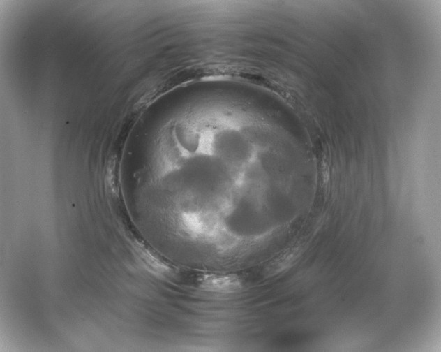 X0000066520185200603171228