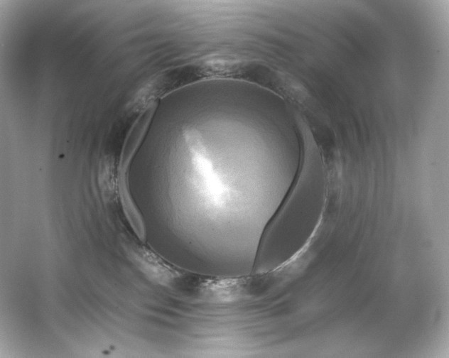 X0000066520186200603171228