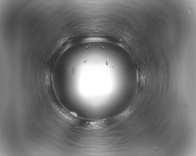 X0000066520188200603171228