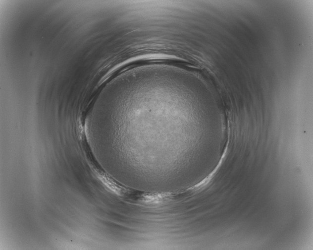 X0000066520190200603171228