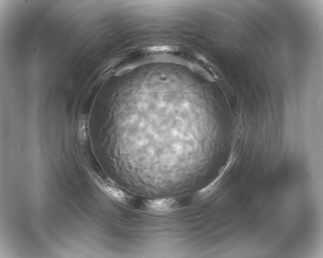 X0000066520191200603171228