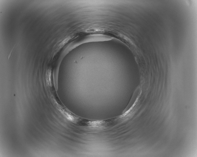 X0000066520192200603171228