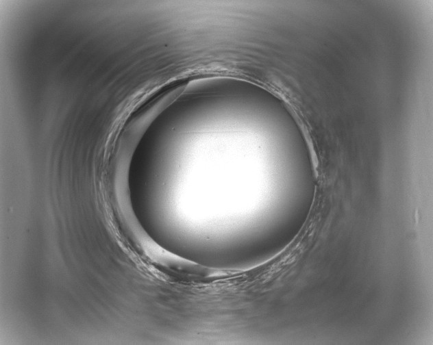 X0000066520193200603171227