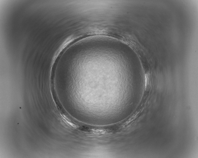 X0000066520195200603171227