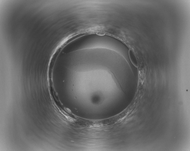 X0000066520196200603171227