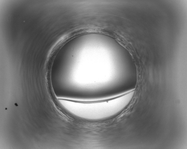 X0000066520197200603171227