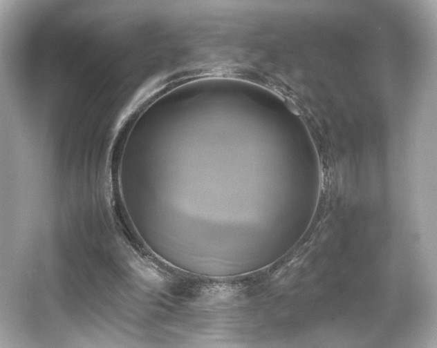 X0000066520198200603171227