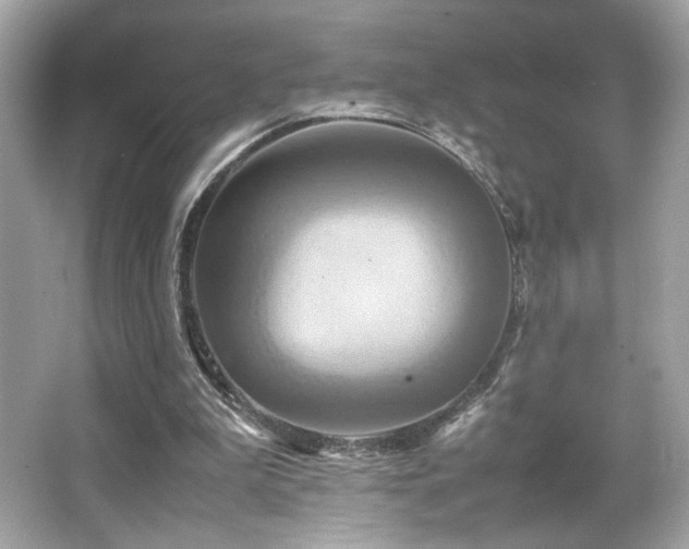 X0000066520199200603171227