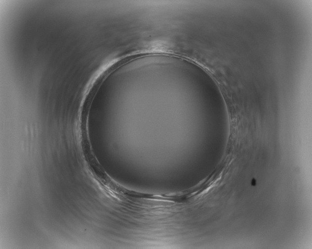 X0000066520200200603171227