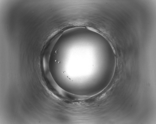 X0000066520201200603171227