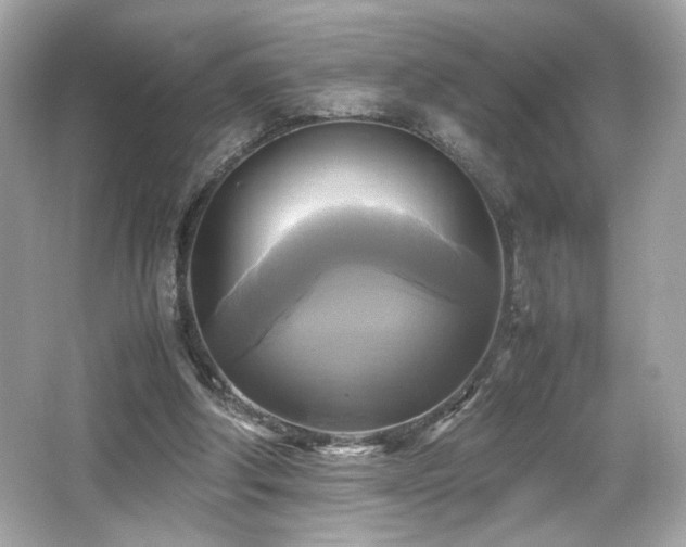 X0000066520202200603171227