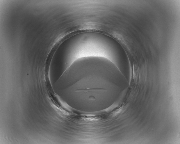 X0000066520204200603171227