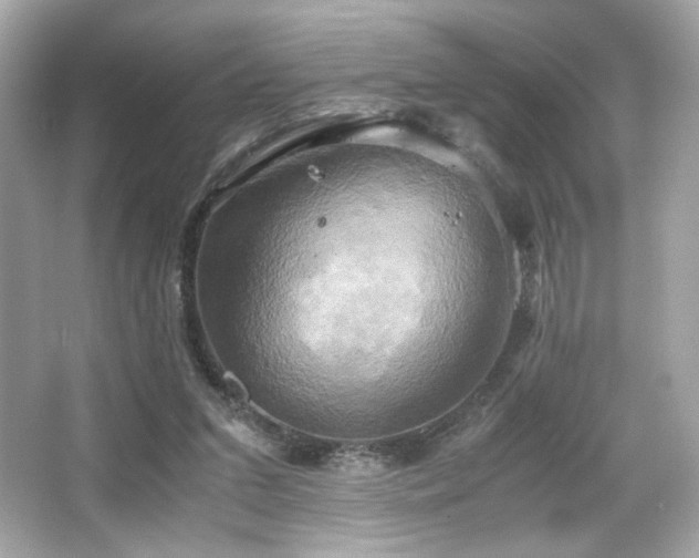 X0000066520207200603171227