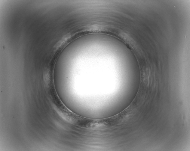 X0000066520208200603171227