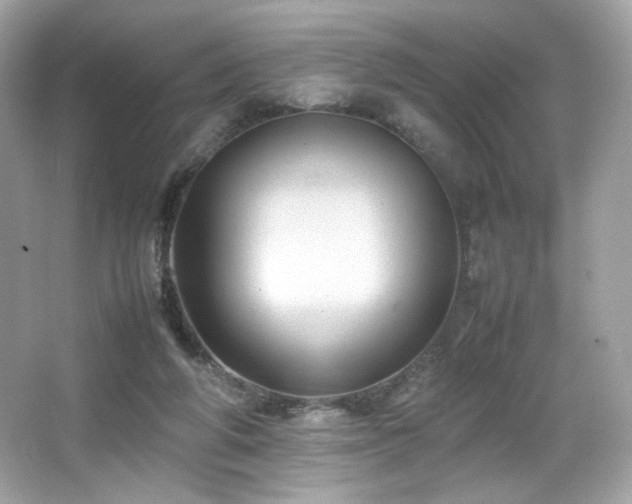 X0000066520210200603171227