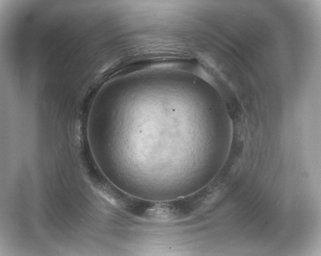 X0000066520211200603171227