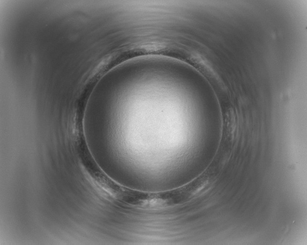 X0000066520212200603171227