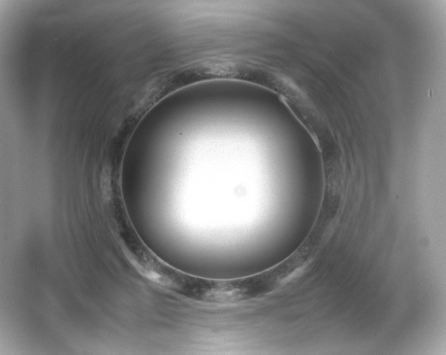 X0000066520213200603171227